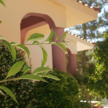 Kefallonia Bay Resort Spartià Exterior photo